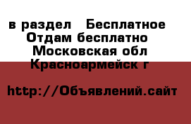  в раздел : Бесплатное » Отдам бесплатно . Московская обл.,Красноармейск г.